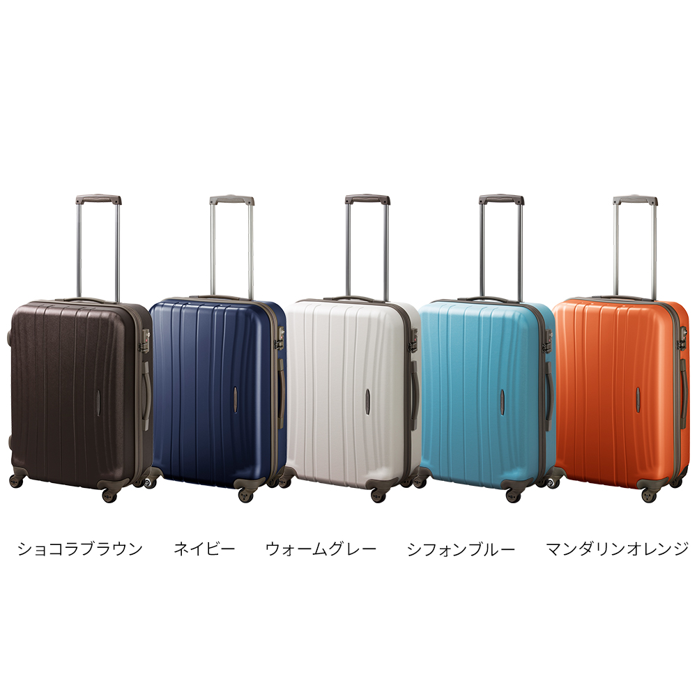 プロテカ フラクティ Sサイズ 14日間 0455314